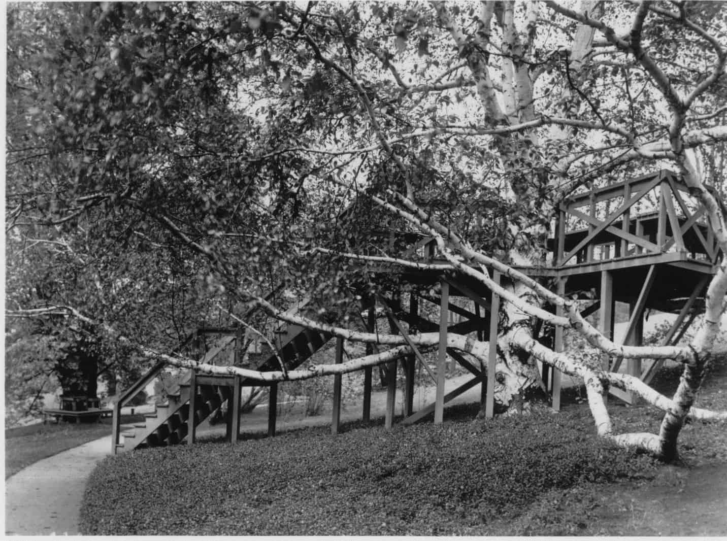 1905 cont